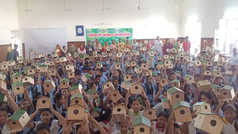 विश्व गौरैया दिवस: बीजेपी पार्षद की नई पहल, 1000 से ज्यादा गौरैया के लिए घर वितरित