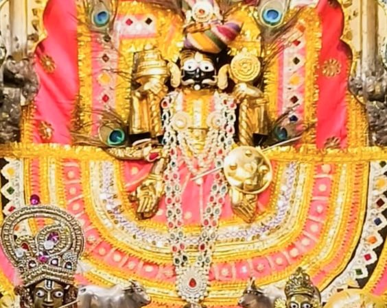 शाहपुरा के चारभुजा मंदिर में भगवान ने किया नौका विहार।