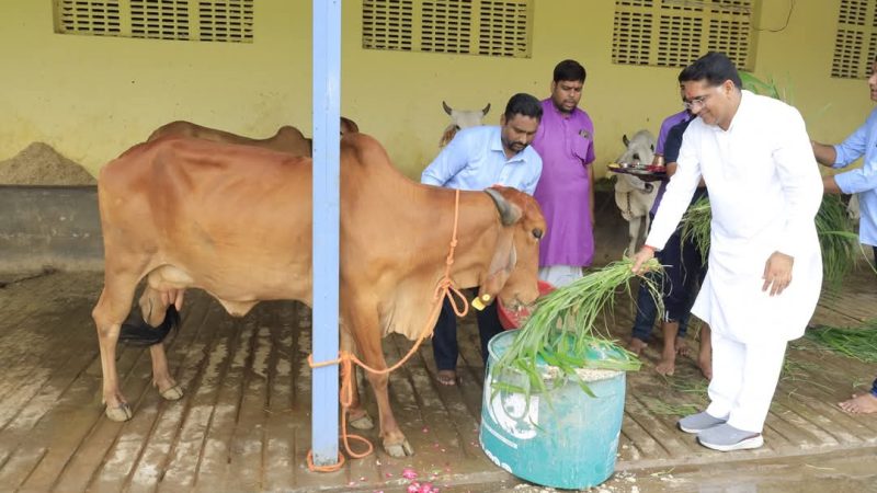 “मातरः सर्वभूतानां गावः सर्वसुखप्रदाः” — गौ माता समस्त प्राणियों की जननी और कल्याण की स्रोत हैं : मंत्री श्री रावत