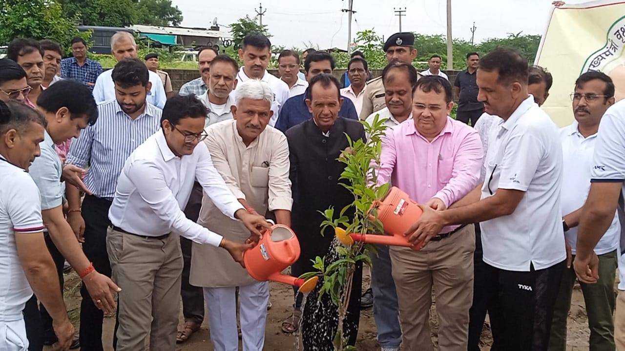 “एक पेड़ माँ के नाम” अभियान के अंतर्गत 5.51 लाख पौधे लगाए गए, हरियाली तीज और वन महोत्सव के अवसर पर विशाल कार्यक्रम आयोजित