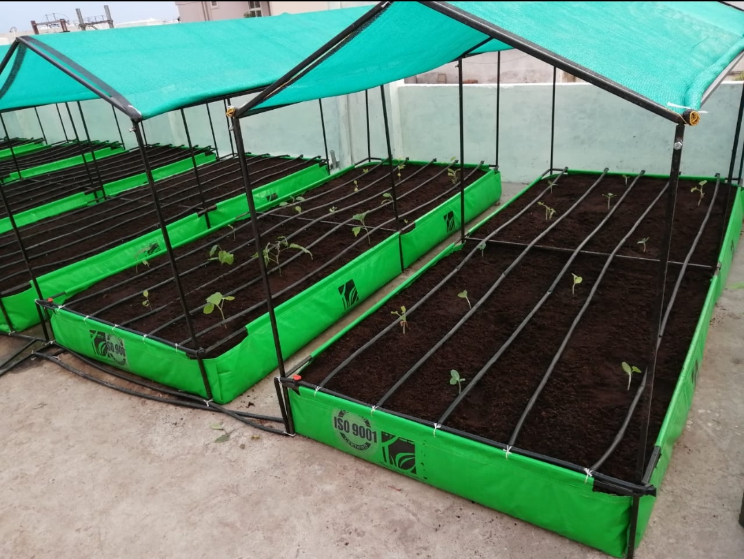 निजी आवासीय छतों पर होगी सब्ज़ी की खेती, जयपुर में शुरू हुई ‘स्मार्ट सिटी रूफ टॉप फार्मिंग परियोजना’