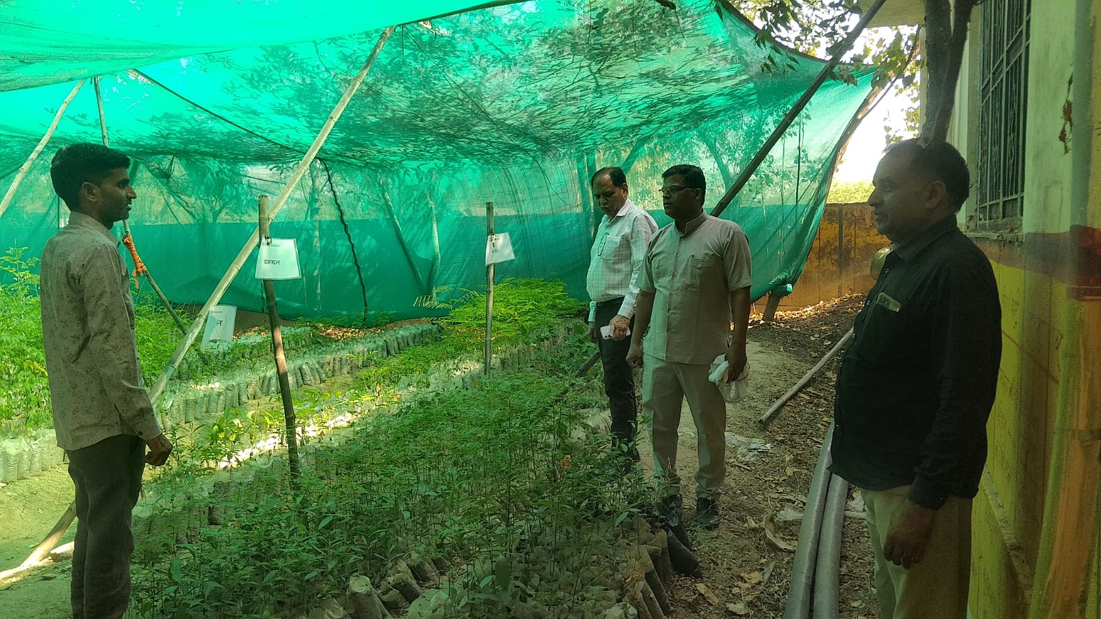 ग्राम पंचायत गोरधा बनी मिसाल: हरियाली, स्वच्छता और सौंदर्यीकरण से बदली पहचान
