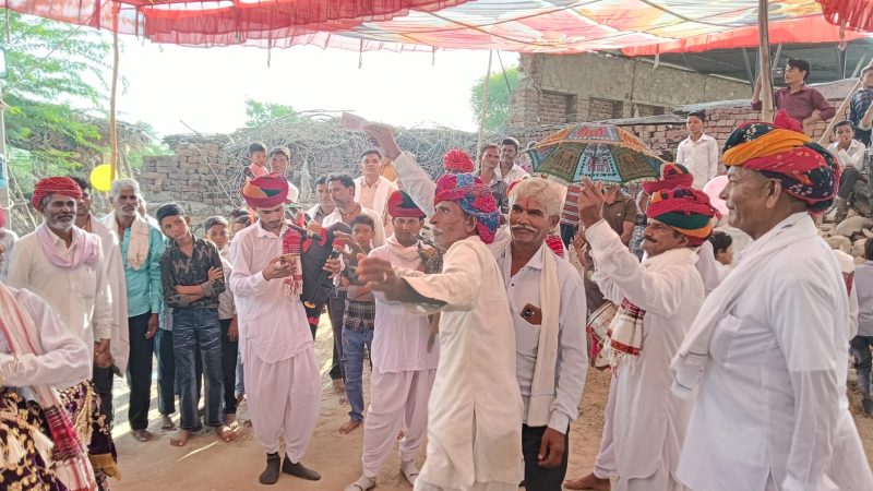 लोधा का झोपड़ा में तेजाजी महाराज की प्रतिमा स्थापित, निकली भव्य बिंदोरी