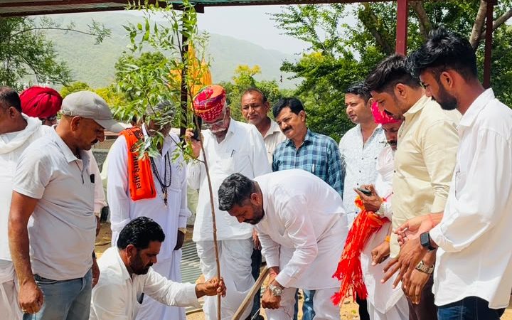 रक्तदान, गौसेवा और पौधारोपण के साथ मनाया गया ओमप्रकाश भडाणा का जन्मदिन