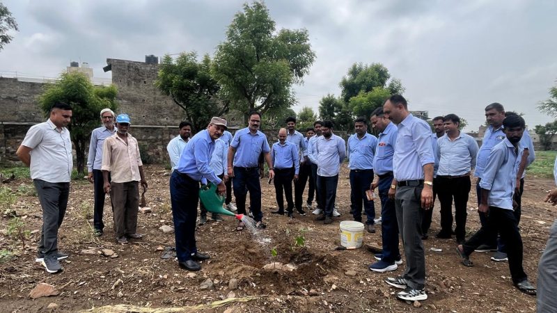 सरस डेयरी परिसर में हुआ सघन वृक्षारोपण, पर्यावरण संरक्षण का दिया संदेश