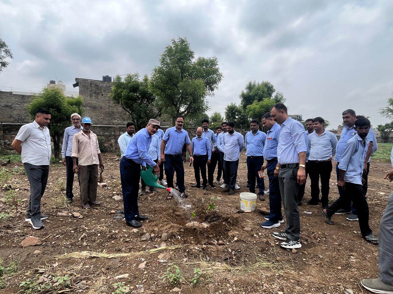 सरस डेयरी परिसर में हुआ सघन वृक्षारोपण, पर्यावरण संरक्षण का दिया संदेश