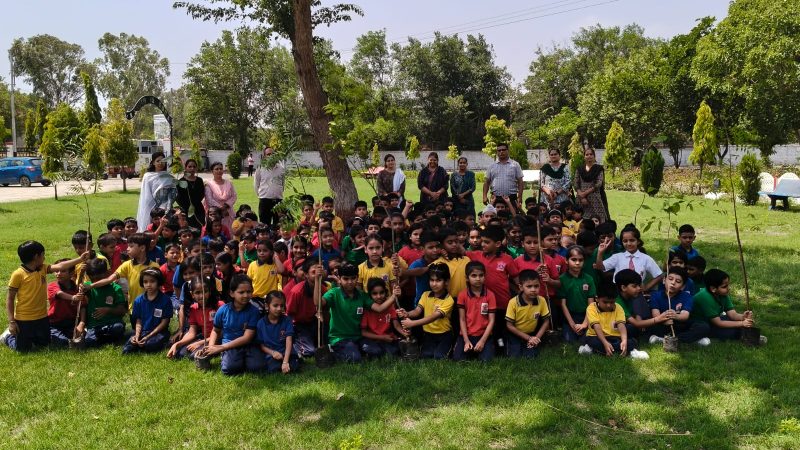 आर्मी पब्लिक स्कूल में नन्हे हाथों ने बोए हरियाली के बीजविद्यार्थियों ने पौधारोपण कर दिया पर्यावरण संरक्षण का प्रेरक संदेश