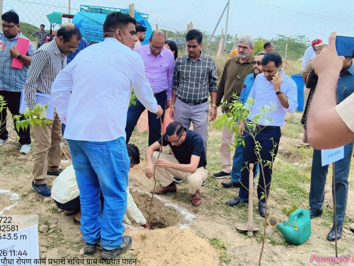 वन महोत्सव 2026 : प्रभारी सचिव नीरज के. पवन ने पाटन में किया पौधारोपण, पर्यावरण संरक्षण का दिया संदेश